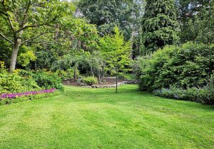 Optimiser l'expérience du jardin à Roinvilliers